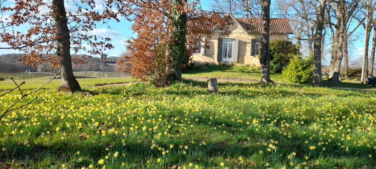 Вилла Moulin De Bigorre Saint-Genes-de-Castillon Экстерьер фото