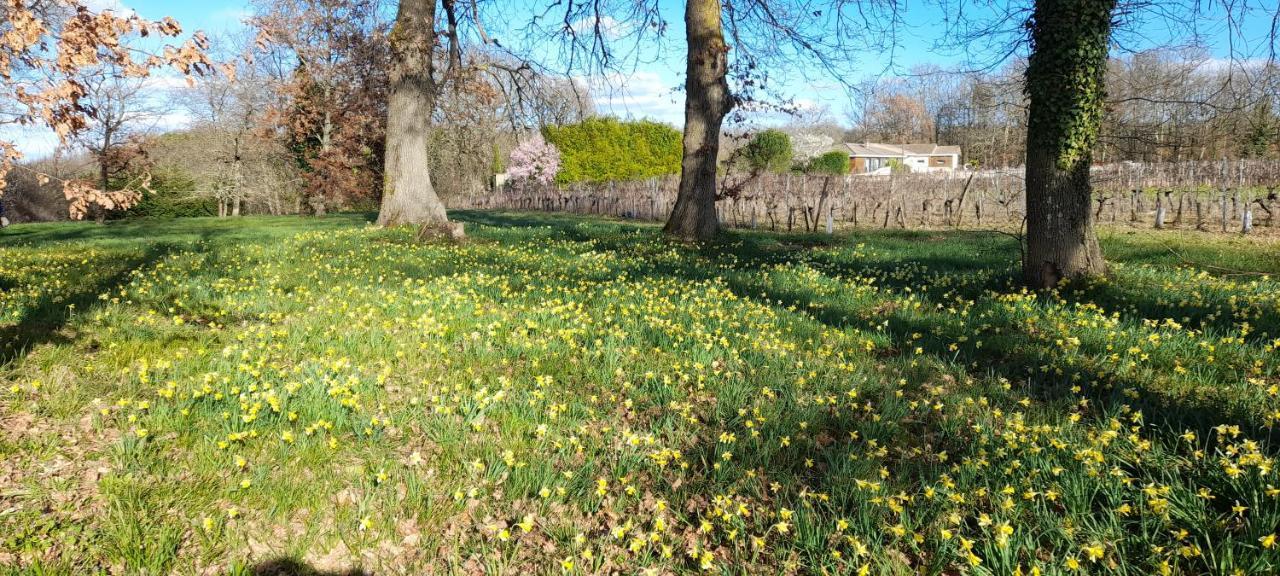 Вилла Moulin De Bigorre Saint-Genes-de-Castillon Экстерьер фото